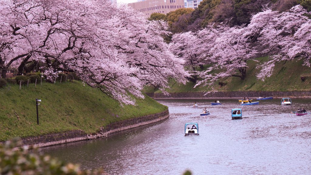 best location in tokyo tourist